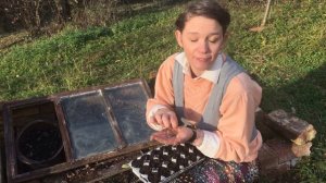 1st week in Nov, Winter pruning chrysanthemums and starting an onion experiment.