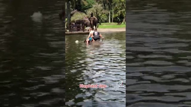 Elephant Ride in Bali’s Elephant park. #elephant #bali #solotravel #filipino #traveler #travel