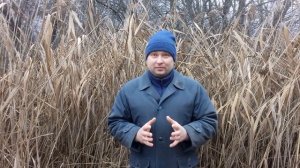 Анекдот о пасечниках и пчёлах. Профессиональный юмор пчеловода.