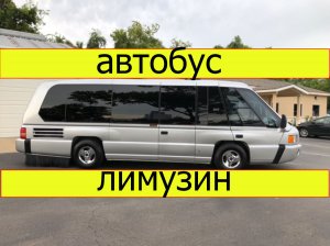 Автобус лимузин Mauck MSV 1120