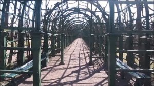 Верхний сад - Петергоф