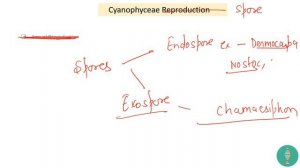 DU | BHU | MSc Entrance Classes | Cyanophyceae | Features | Reproduction | Part - 3 |In Hindi