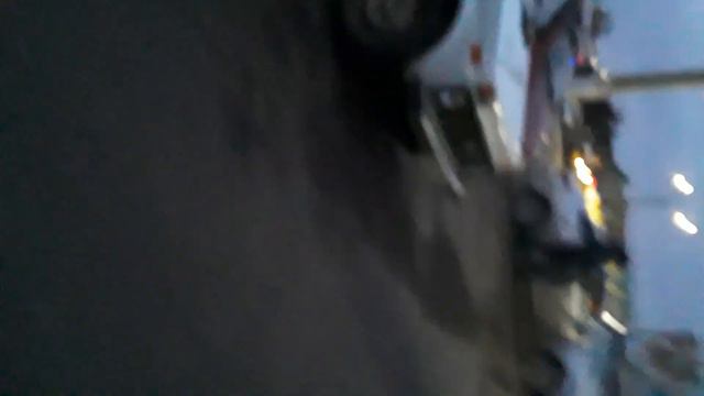 покупки для любимцев в магазине. 1 часть. (видео вышло на неделю позже чем было снято) смотреть онлайн