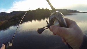 Daiwa Tatula 100 vs Daiwa Tatula CT - Head To Head Comparsion