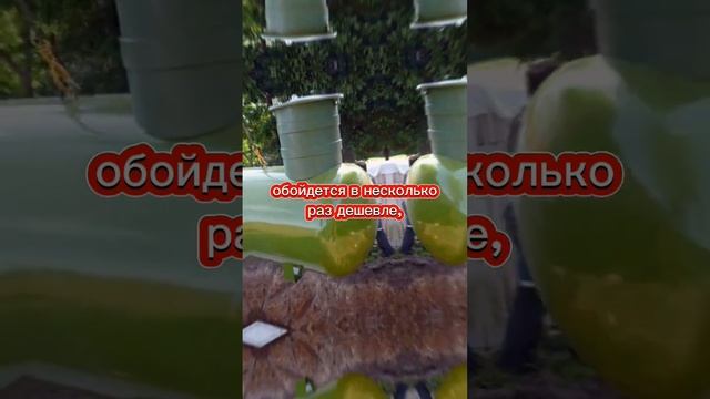 Отопление частного дома. #septic78 смотреть онлайн