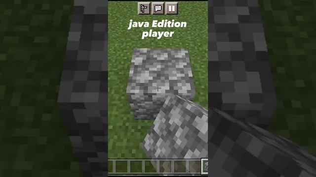 Java Edition player vs pocket edition player#minecraft#javavsbedrock
