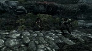 Skyrim : Lydia is a champ #1