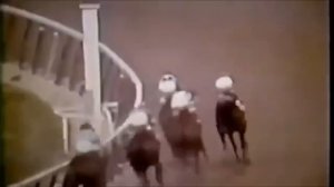 Просто мурашки по коже/ Самая известная лошадь в ИСТОРИИ/ СЕКРЕТАРИАТ