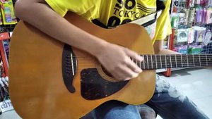 Tokai Humming bird 68f