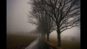 Загрустило.Саша Байкальский