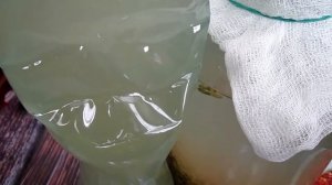 Домашний квас из овса видео рецепт | Овсяный квас из мёда и сахара | Квас для похудения