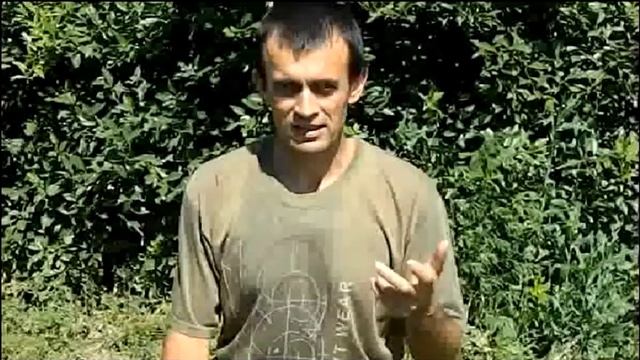 Как осы добывают строительный материал для своих гнезд смотреть онлайн