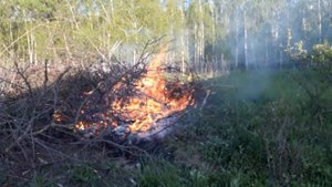 Сжигаем костер