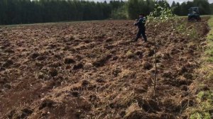 Посев озимой ржи