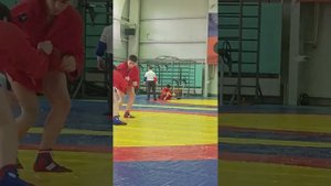 соревнования самбо 10-11 лет