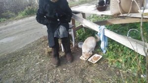 помощь бездомным животным и люди которых я знаю которые помогают бездомным животным