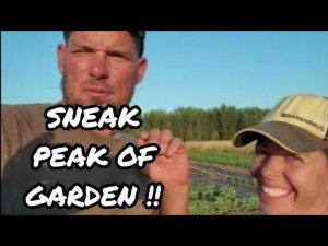 #79. We will leave it till next year! Оставим это до следующего года! 25.07.2024