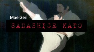 Садашиге Като сенесй. Мае-гери