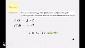 Генетический код. Решение задач на триплетность генетического кода