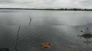 Что можно съесть, если заблудился в лесу осенью.