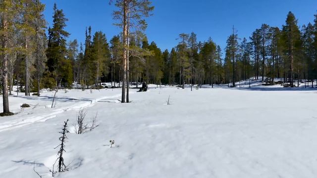 2020 Lynx 900 ACE TURBO BEAST смотреть онлайн