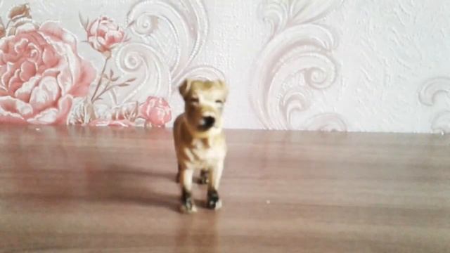 Показываю свою коллекцию собак