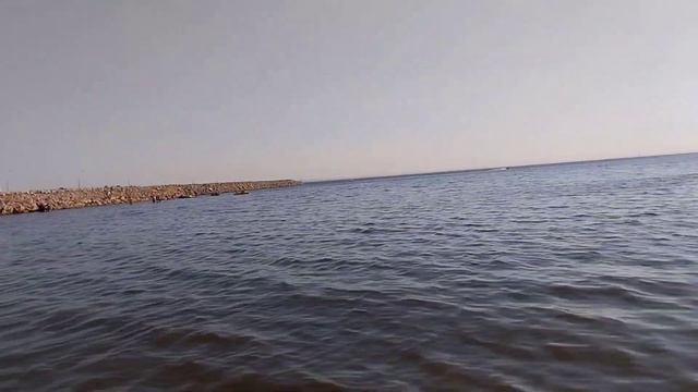 Купаюсь в Финском Заливе, вода +26°, температура воздуха +30°. Ляпота. ??? смотреть онлайн