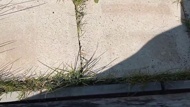 Рум тур по нашей даче? #былостало☘️ дачные дела/ дача спустя несколько лет? купили дачу/обзордачи