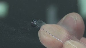 Ремонт трещины лобового стекла