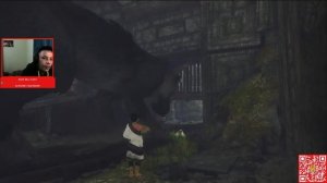 THE LAST ANJAY - THE LAST GUARDIAN (2)