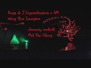 Вонг Шун Ленг о форме деревянного человека Винг Тсун (Винг Чун, Винчунь, Юнчунь). для Я.Шиманкевича.