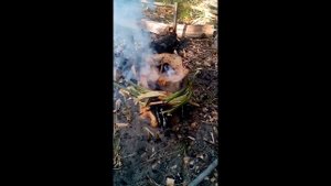 Костёр индейская свеча для выживания (Делай ТАК DIY)