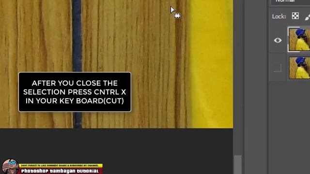 HOW TO REMOVED BACKGROUND USING POLYGONAL LASSO TOOL - PHOTOSHOP CC смотреть онлайн