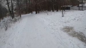 ГУЛЯЕМ❄️?☃️I КУЗЬМИНСКИЙ ПАРК?I #прогулка #кузьминскийпарк #москва