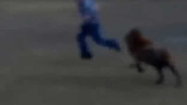 2 barana смотреть онлайн