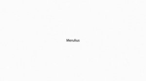 Merulius PRONUNCIATION