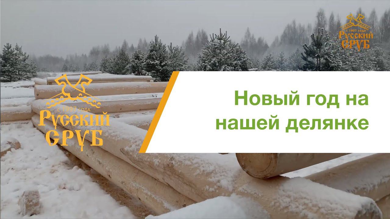 Наша делянка и площадка сборки срубов 2020 год! смотреть онлайн