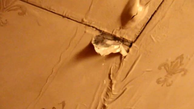 Потоп в доме Зингера 8 августа 2014 смотреть онлайн