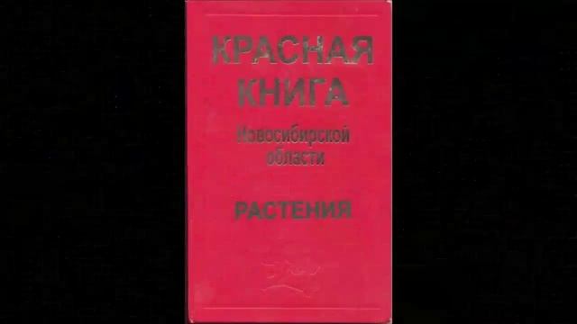 Драгоценные растения Сибири. Эфедра смотреть онлайн