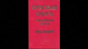 Драгоценные растения Сибири. Эфедра