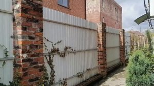 лавровишня лекарственная. Уход, выращивание и размножение