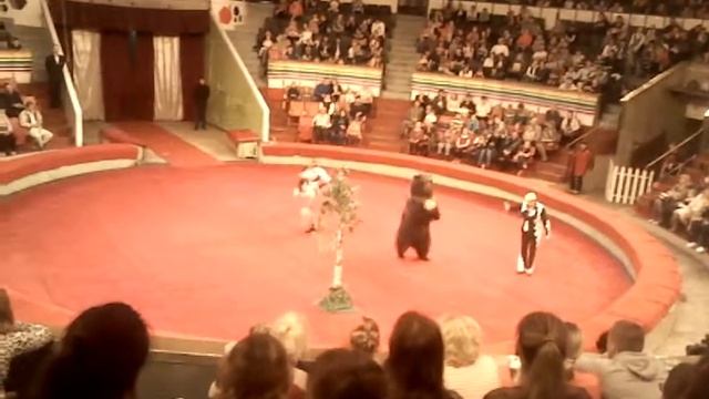 Медведь гигант в Пермском цирке смотреть онлайн