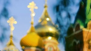Александр Старостенко  Елей