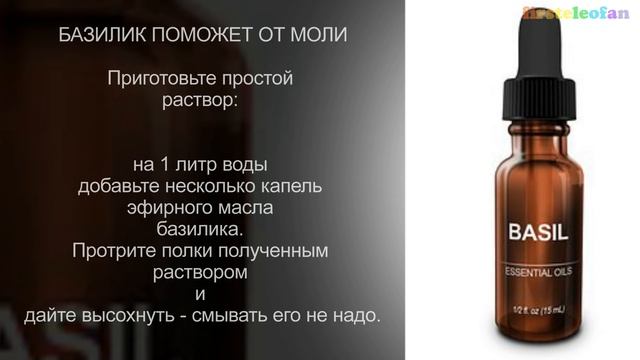 Как избавиться от моли без химии. Моль в доме.