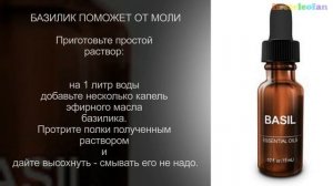 Как избавиться от моли без химии. Моль в доме.