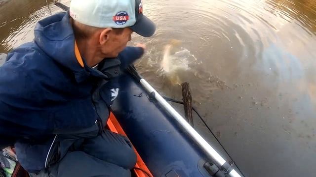 Рыбалка-Лето 2020 ,(Поймал-Отпустил ) Новосибирская область " Старые Карачи смотреть онлайн