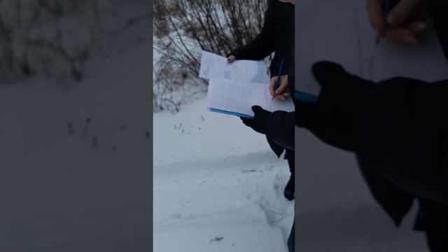 Комиссия по признанию жилья аварийным. смотреть онлайн