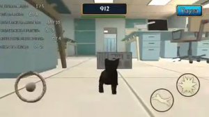 я кошечка мяу в cat simulator: kitty craft