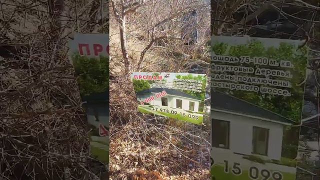 10 января, 2023 год. Яшмовый пляж, Севастополь, Крым