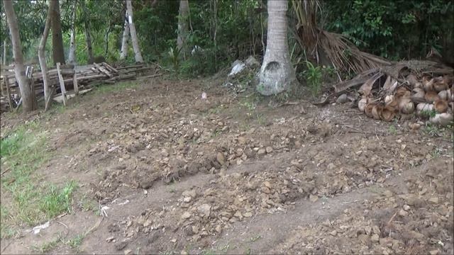 Our Enclosed Garden Site смотреть онлайн